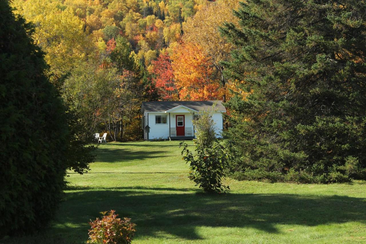 Chalet Au Bord Du St-Maurice La Tuque Luaran gambar