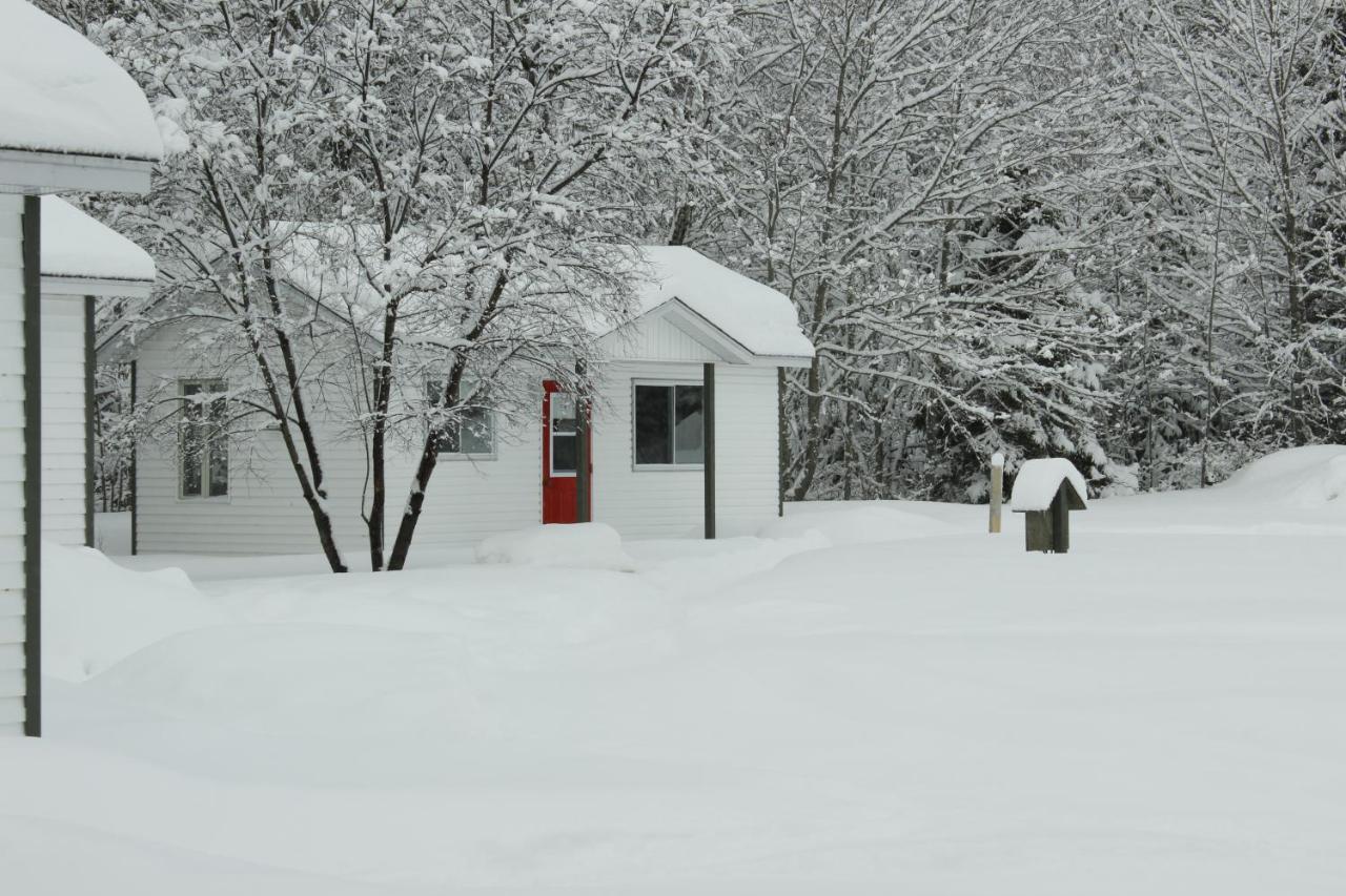 Chalet Au Bord Du St-Maurice La Tuque Luaran gambar