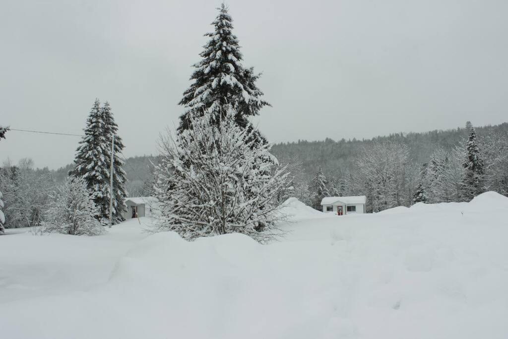 Chalet Au Bord Du St-Maurice La Tuque Luaran gambar